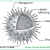 ciri-cirivirus